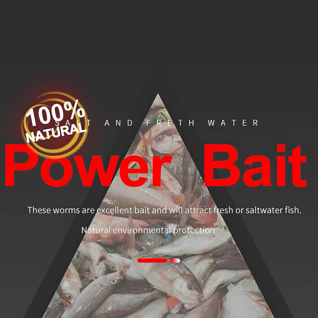Description Picture 4 of item1 Bag Dry Sandworms Fishing Lure Eco-friendly Fish Bait Portable Seductive Food for Aquatic Animals Enticement Usage 10g
