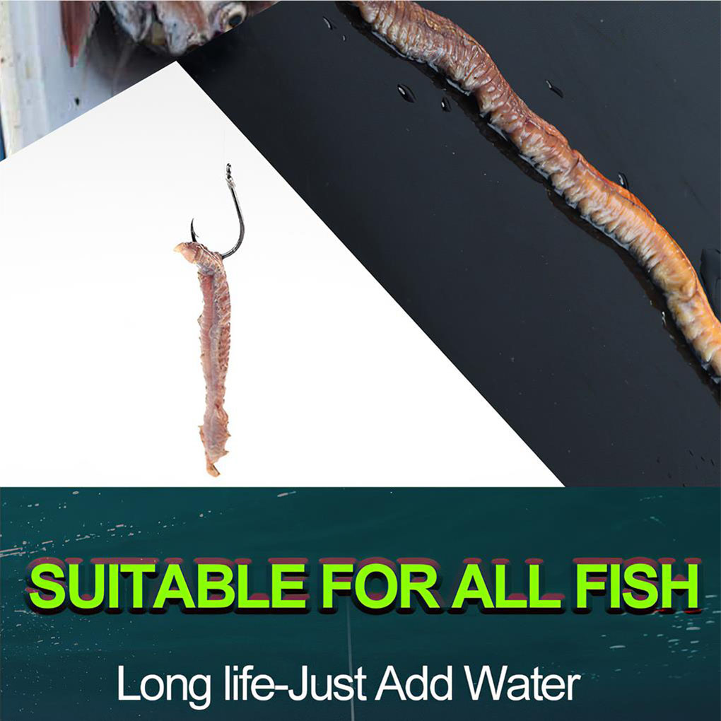 Description Picture 6 of item1 Bag Dry Sandworms Fishing Lure Eco-friendly Fish Bait Portable Seductive Food for Aquatic Animals Enticement Usage 10g